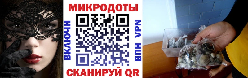 как найти наркотики Нахабино shop Telegram Галлюциногенные грибы Psilocybine cubensis гидра зеркало