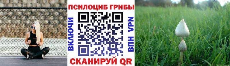 Галлюциногенные грибы прущие грибы Нахабино